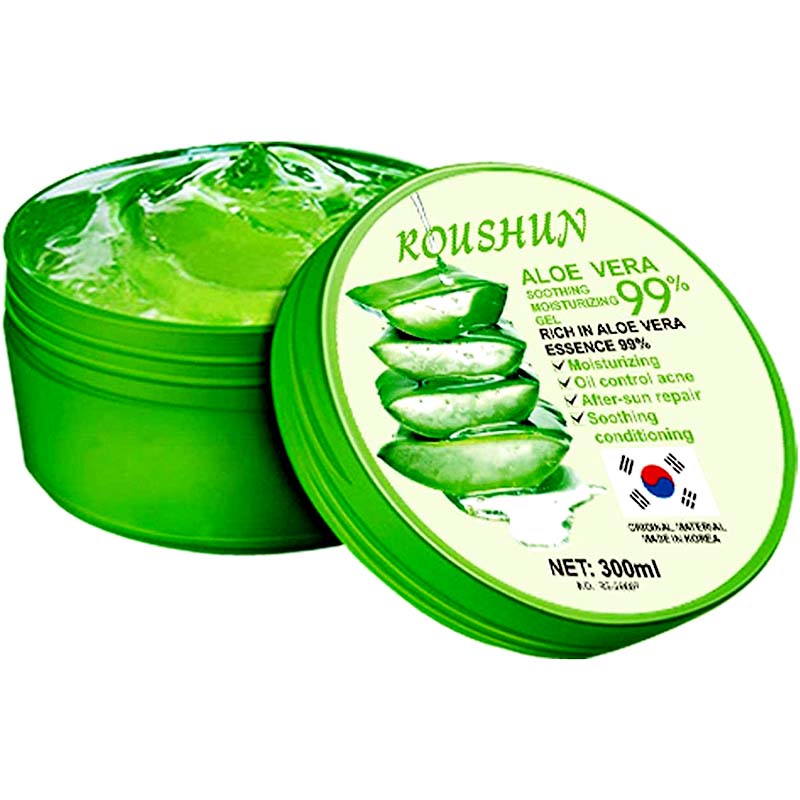 aloe vera winterhart kaufen Aloe Vera „Alfonso“ – Aloe-Vera-Pflanze in Gärtnerqualität kaufen main image 0